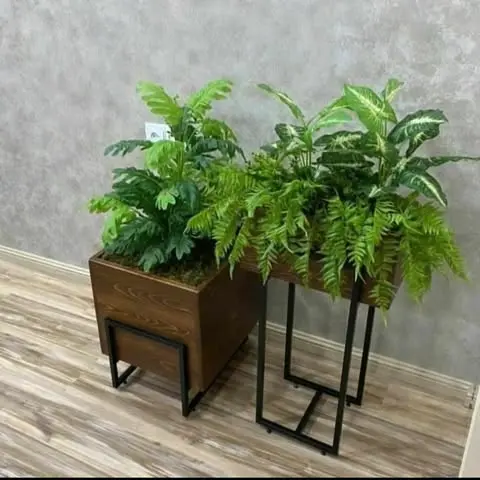 IndoorDecor0005