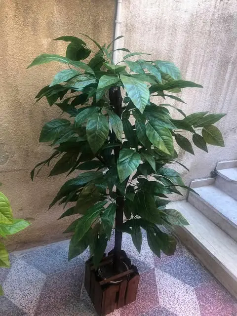 IndoorDecor00037